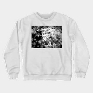 Frosted Nature Crewneck Sweatshirt